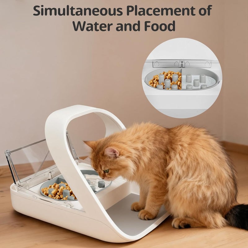 Baofum Slow Feeder Bowl for Automatic Microchip Cat Pet Feeder, Helps Prevent Bloat & Improve Digestion, Easy to Clean, Slow Feeder Bowls & Mat - Image 5